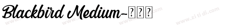 Blackbird Medium字体转换